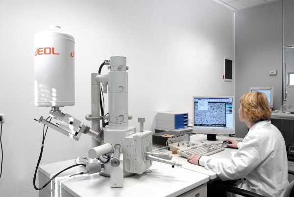 SEM: Microscopio Elettronico a Scansione
